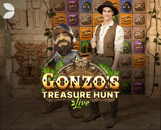 Gonzo's Treasure Hunt